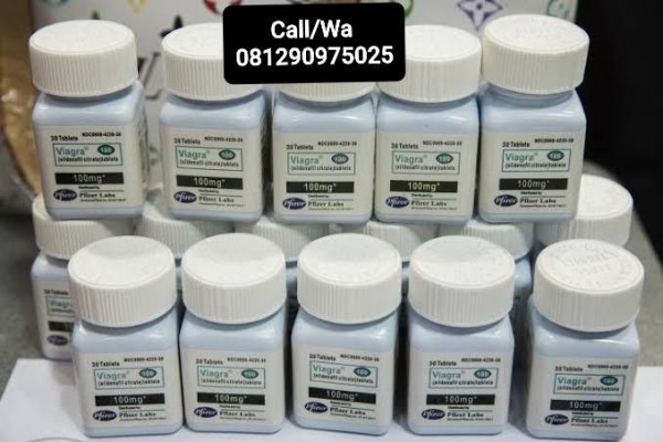 Alamat Jual Viagra (100mg) Di Samarinda 081290975025 Toko Obat Kuat Pria COD