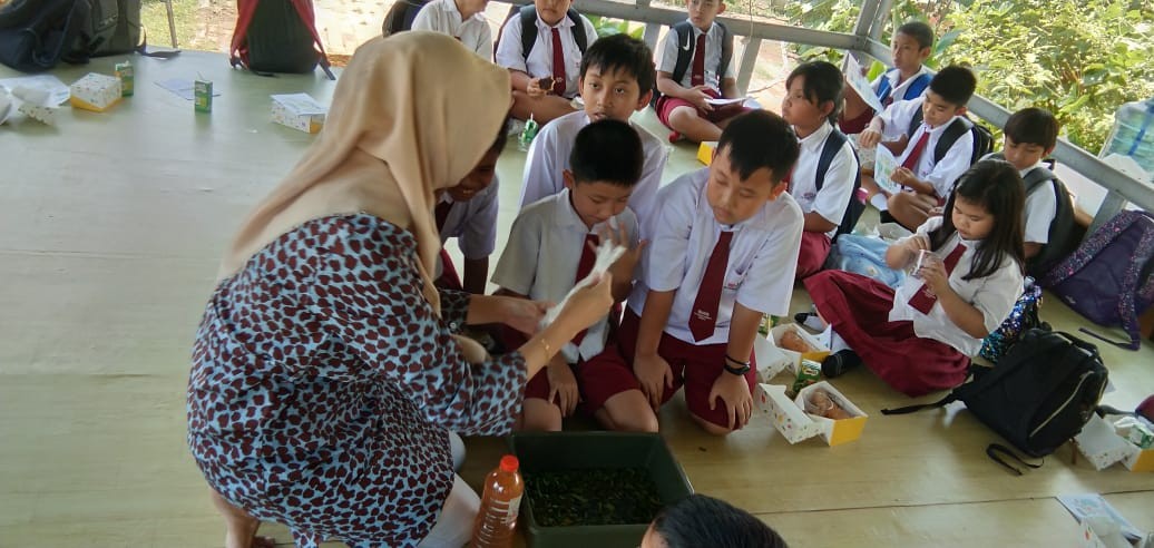 Kelas 5
