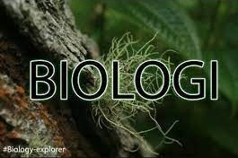 Ilmu Pengetahuan Alam